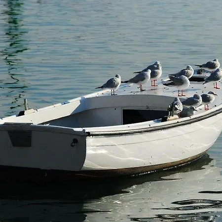 Cambi Kastela