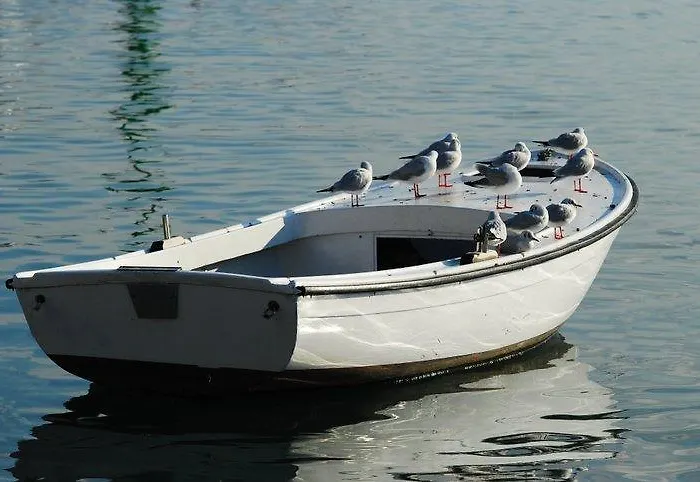 Cambi Kaštela